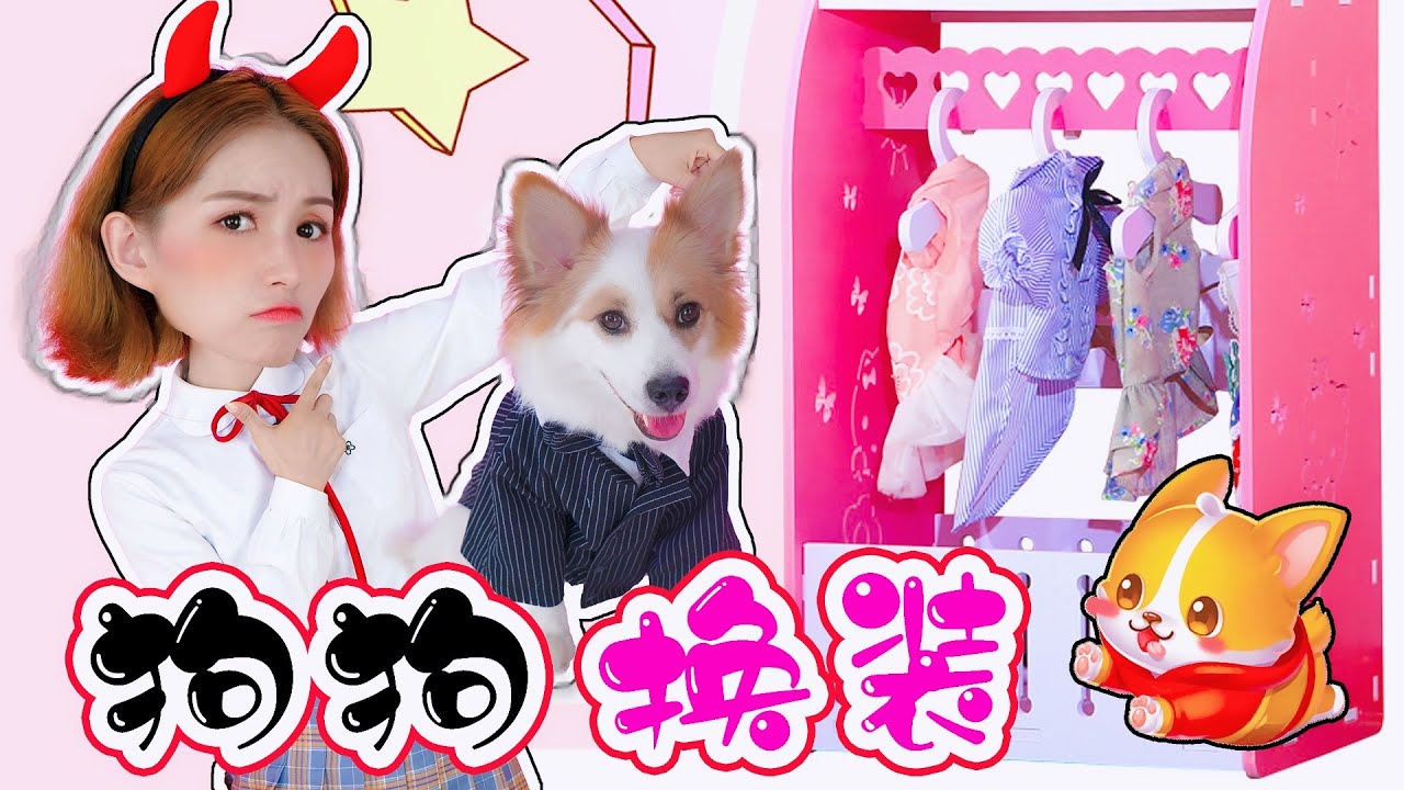 狗狗也有衣櫃？快來看看狗狗哪件衣服最漂亮吧！