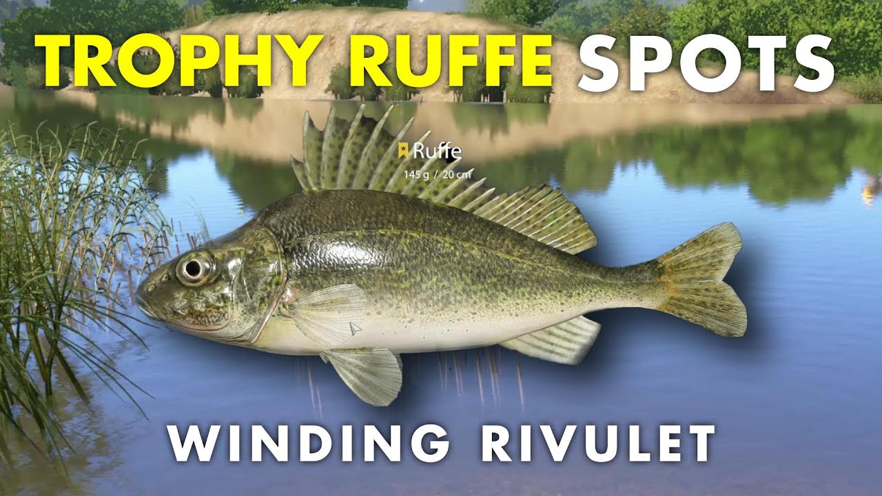 Russian Fishing 4 | 3x TROPHY RUFFE SPOT Winding Rivulet