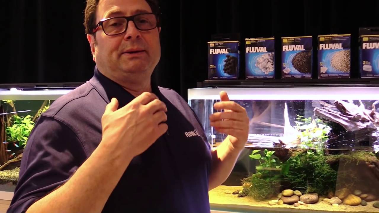 Fluval&rsquo;s guide on when to change your aquarium filter media