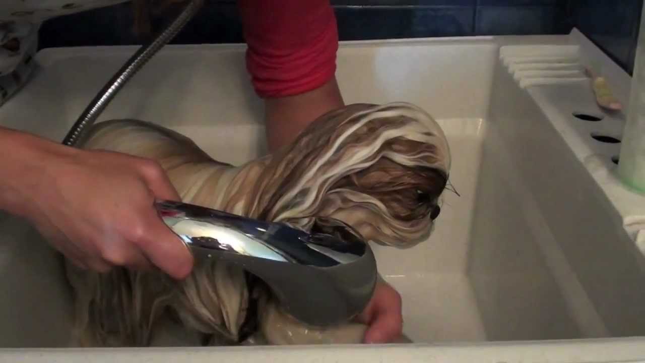 Grooming Series: Bath Time