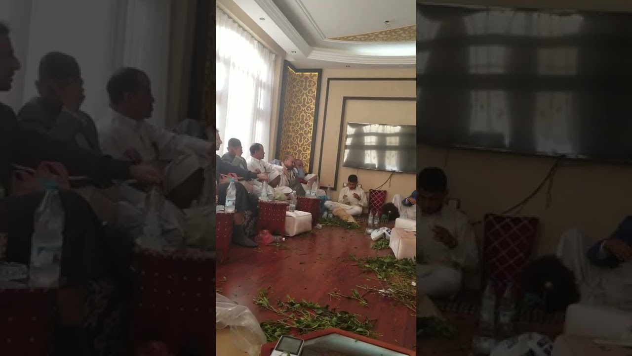 الزباجين في اليمن صادق الفقيه ونبيل الكوكباني