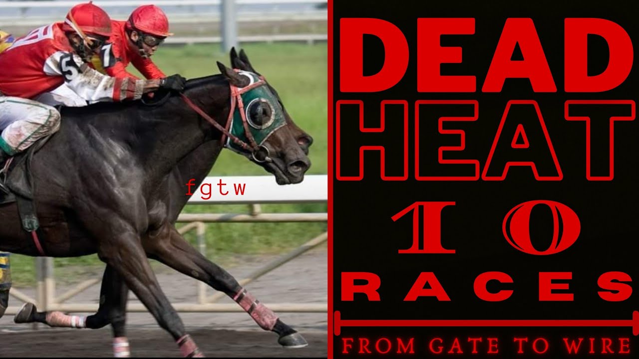 DEAD HEAT | 10 RACES IN PHILIPPINE HORSE RACING