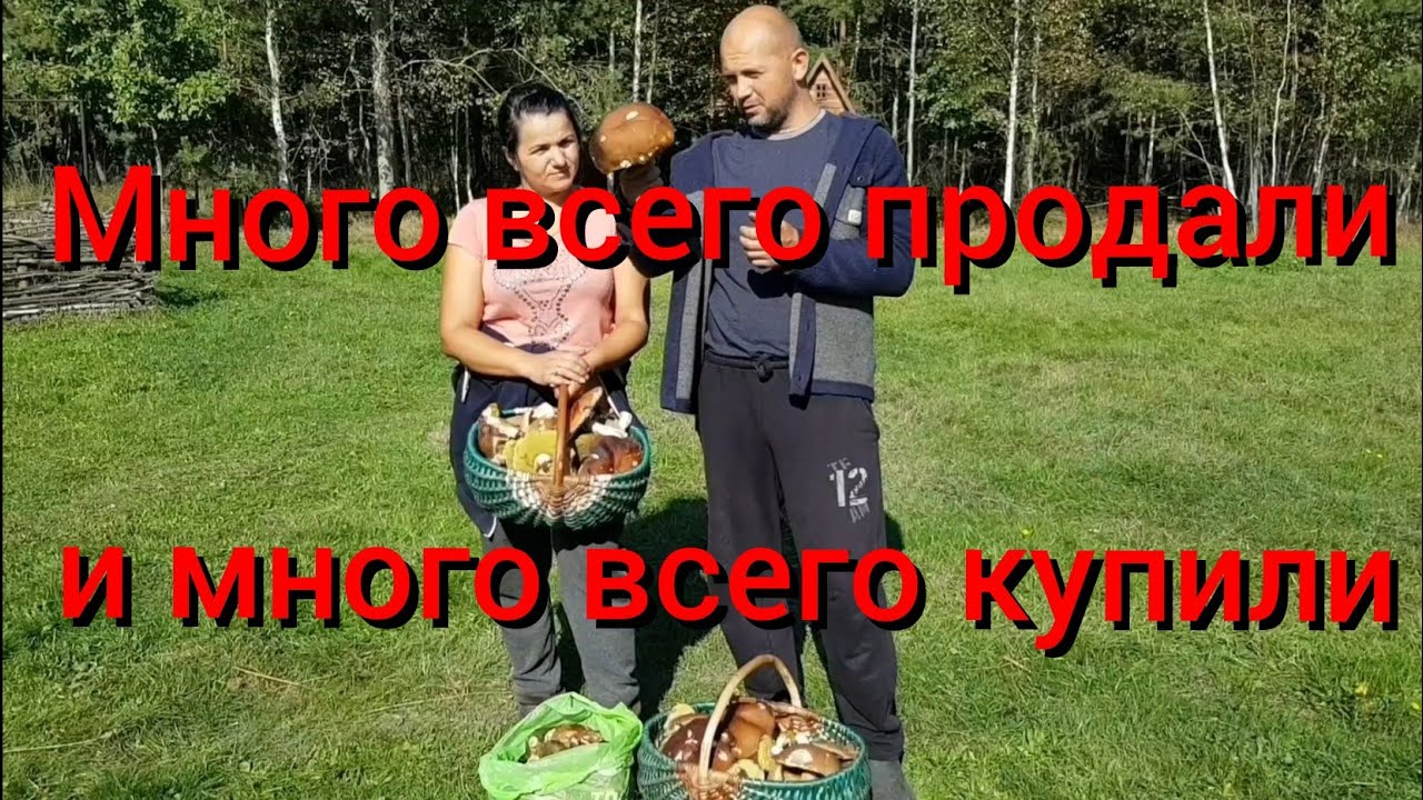 А теперь приключения хуторян по городам и сёлам .Продали машину и купили унитаз. Новый рецепт грибов