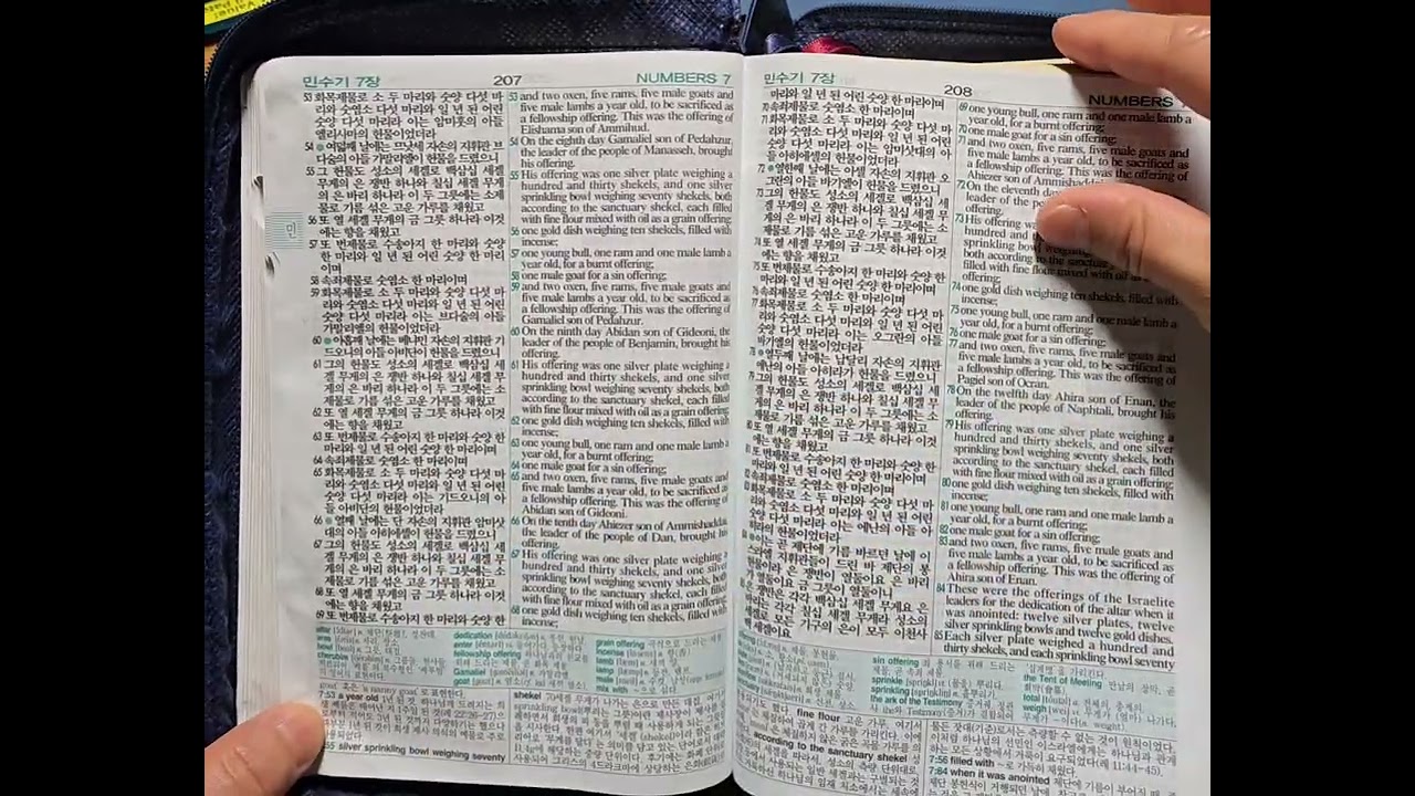 리딩지저스 성경통독 5주 2일차 - 민수기 7-12장
