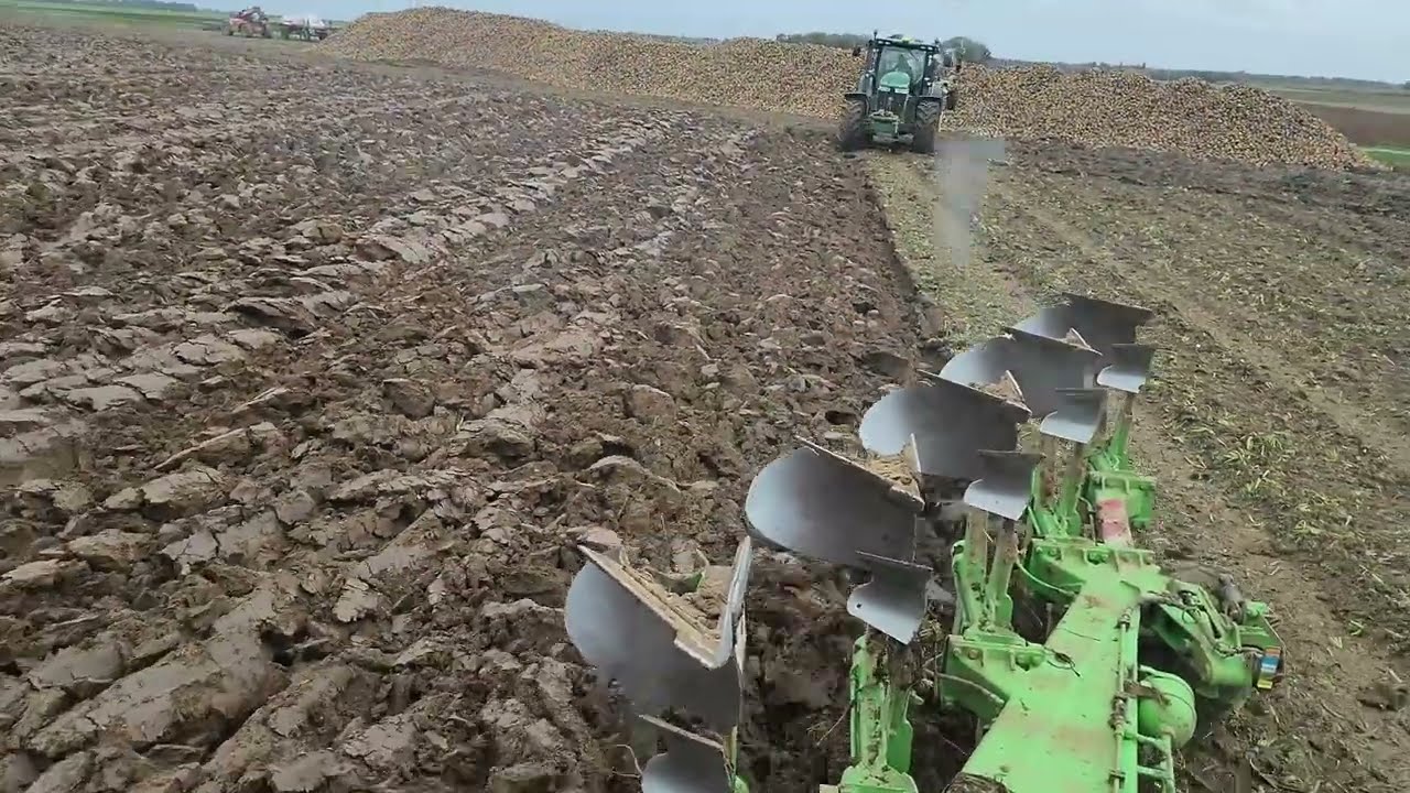 suite des semis de blé