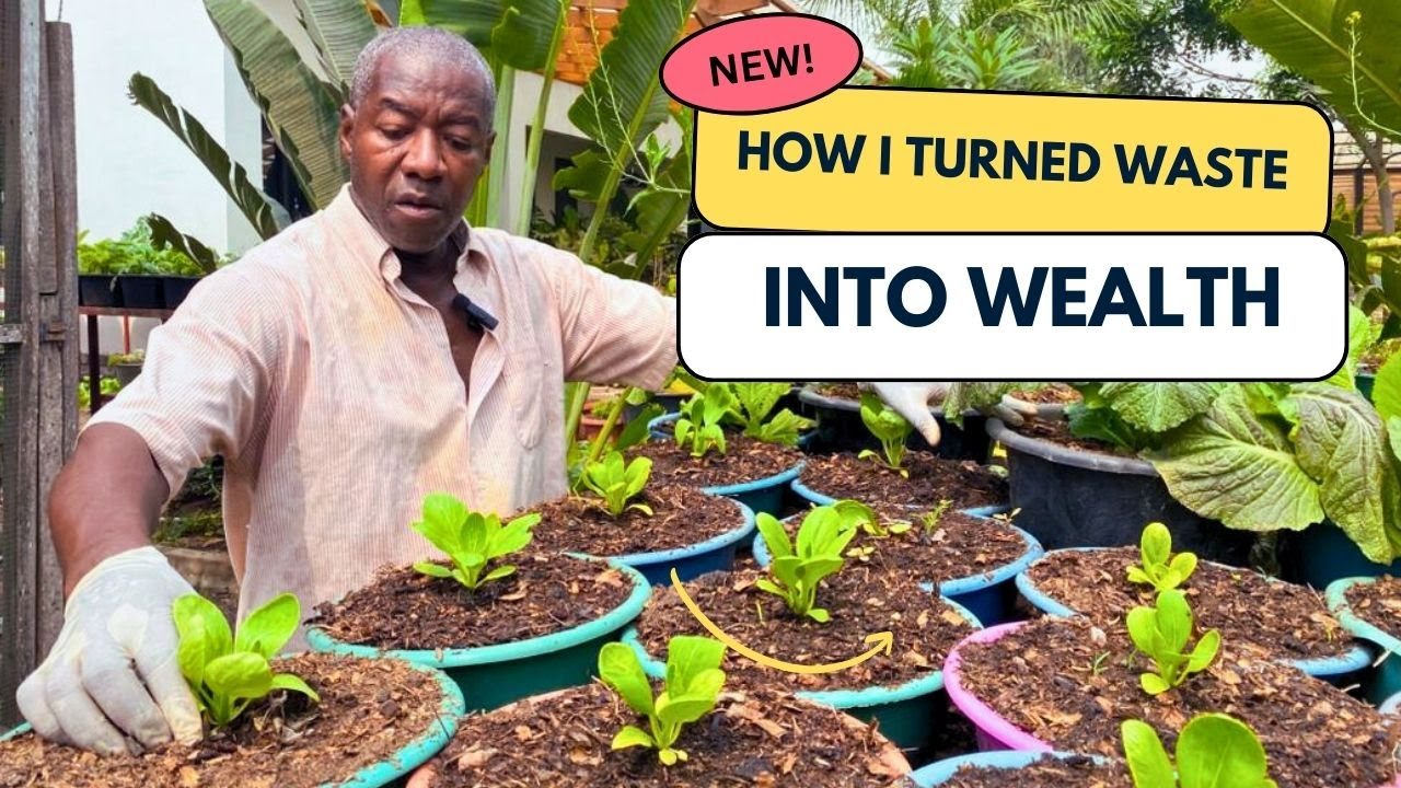 How BAFF Organic Farm is turning Waste Into Wealth