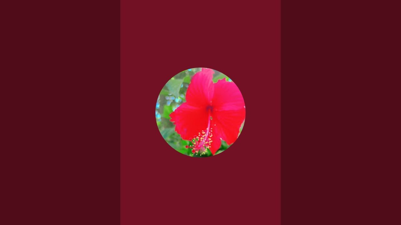 💔उस रिश्ते को वहीं छोड़ दो 💔जहां  तीसरे इंसान को खुश करने के लिए 💔आपको तकलीफ दी जा रही हो।💔👍🥀💯