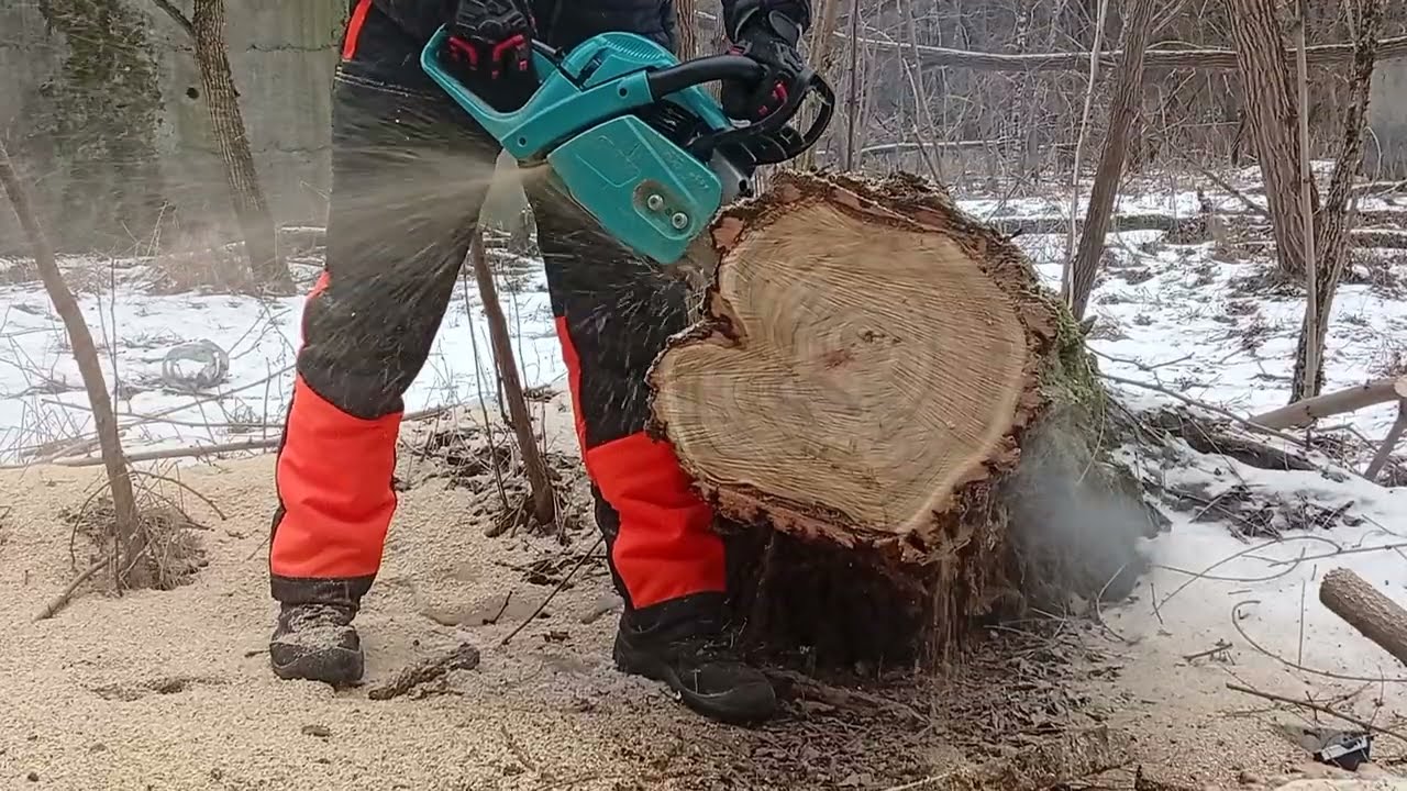 Gardetech CN582T -RS w zmrożonej akacji, .325 7pin 1.5 dłuto. Hecht 58, Hecht 958, Dedra 8713
