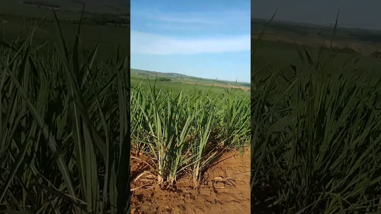 Não aceite o mal na sua vida.