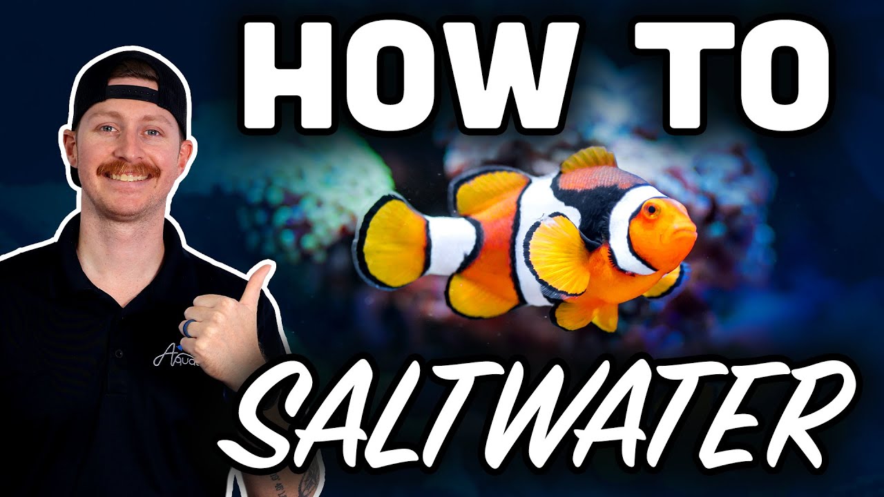 New to Saltwater Aquariums? Watch THIS First!