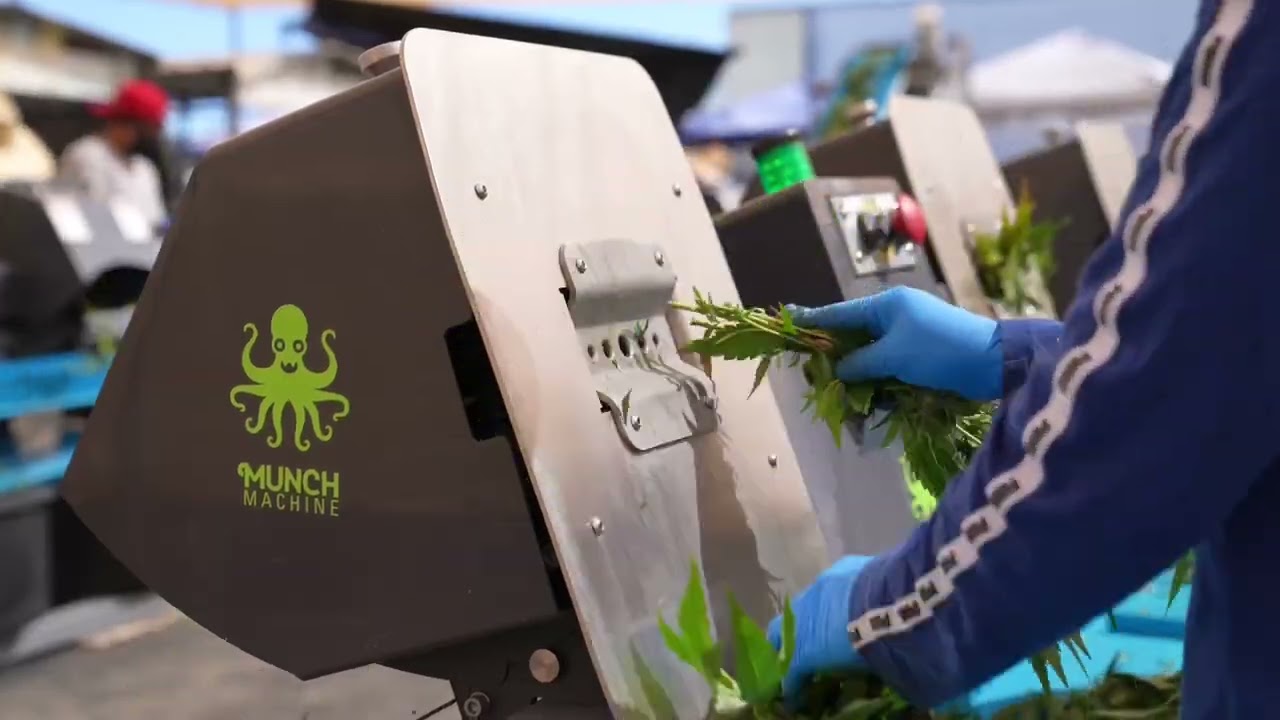Behind the scenes at Solis Brands California