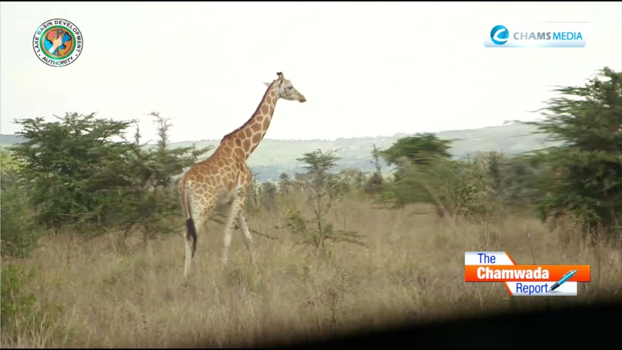 Kisumu Today 3:  Gateway to the Thrills, Wonders, Tourist Attractions of Western Kenya