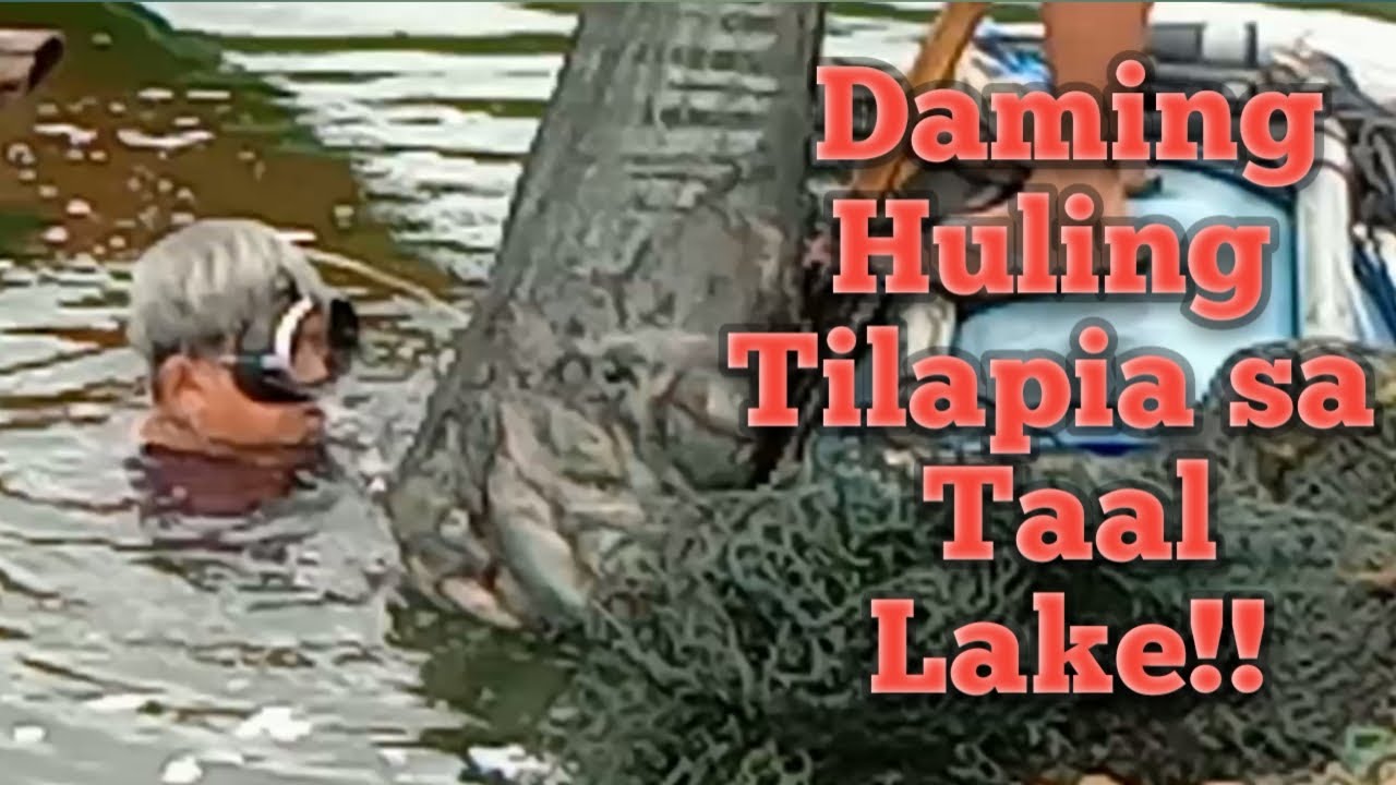 Ep1:DAMING HULING TILAPIA AT IBA PANG ISDA SA TAAL LAKE!!Alexplorer tv