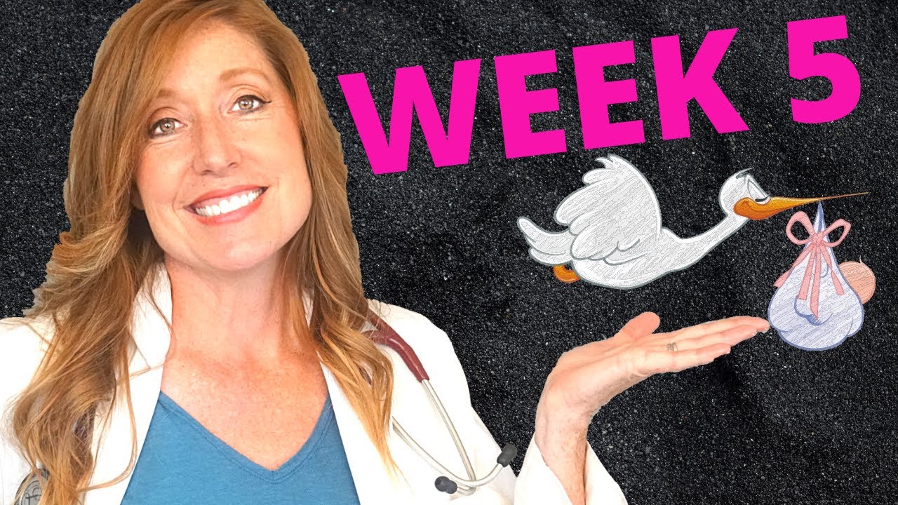 What are 5 week pregnancy symptoms:  PLUS you baby development and your first OB appointment