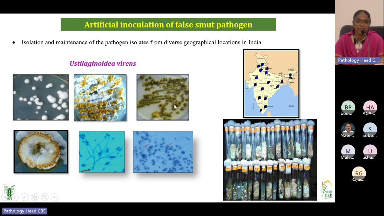 Guest lecture series- Pathology- Rice False Smut Disease 09.06.2023
