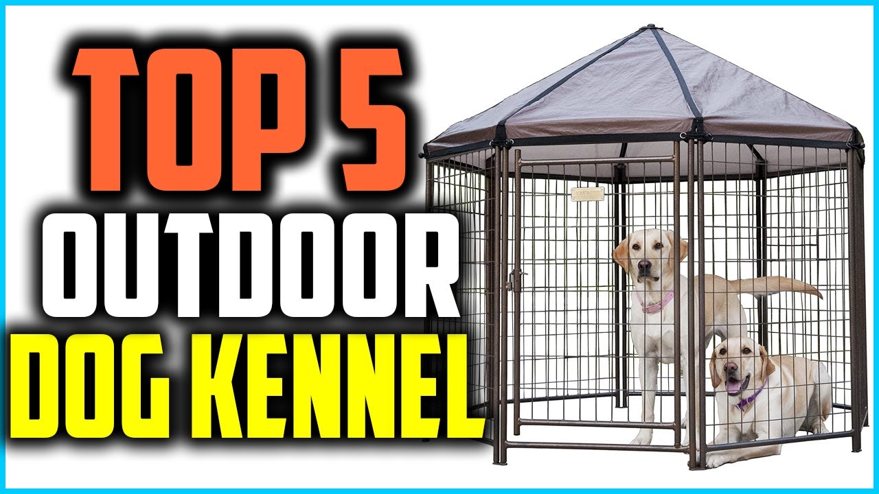 Top 5 Best Outdoor Dog Kennel in 2024