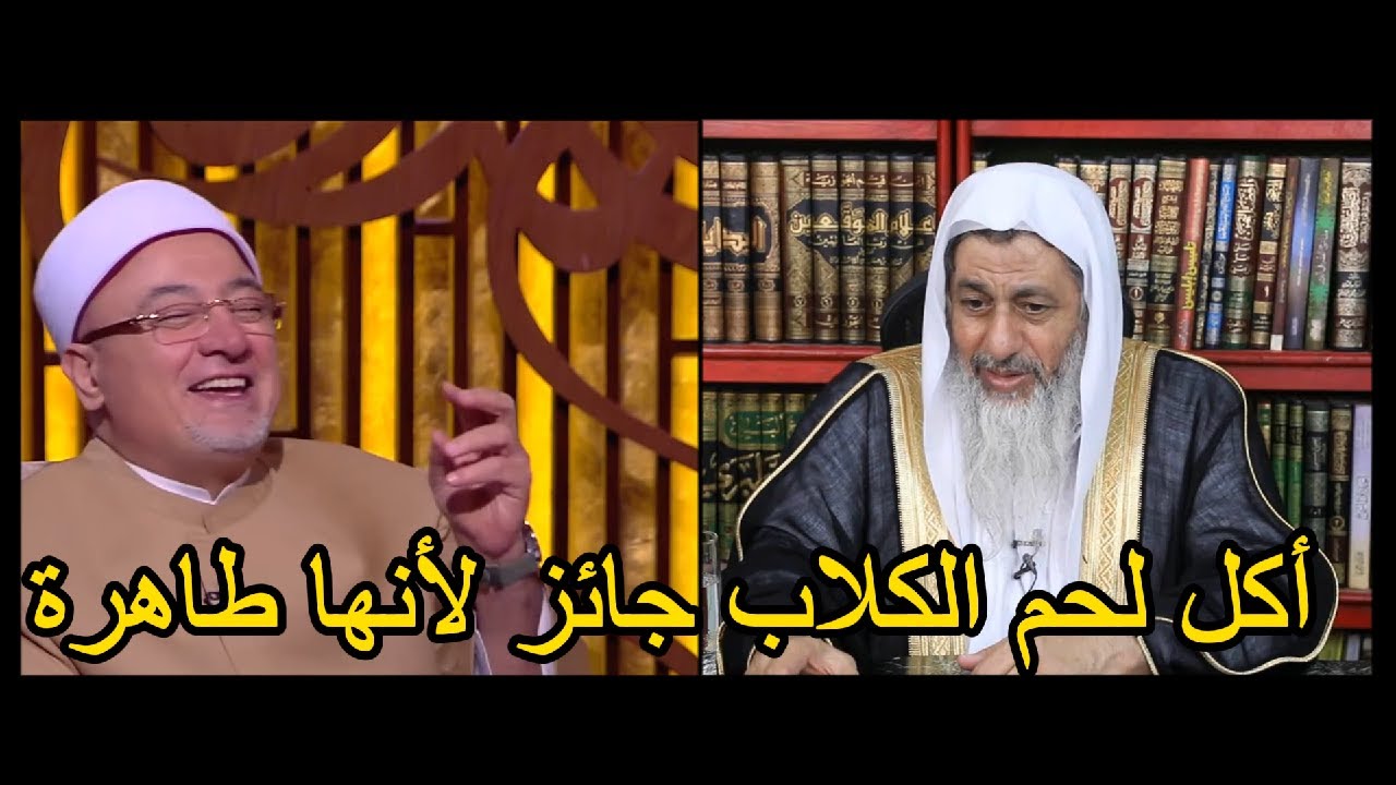 خالد الجندي أكل لحم الكلاب جائز لأنها طاهرة. شاهد رد الشيخ مصطفى العدوي.