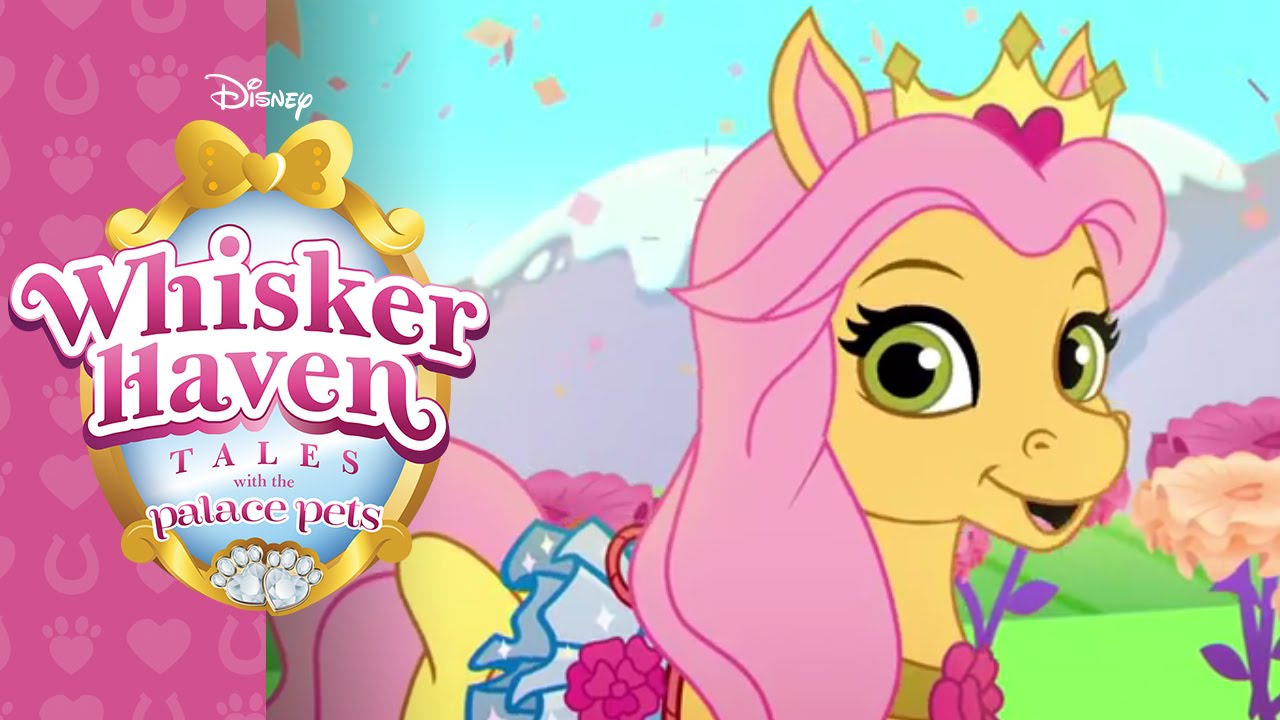 Whisker Haven Tales with the Palace Pets | Tutu-Terrific |  @disneyjr