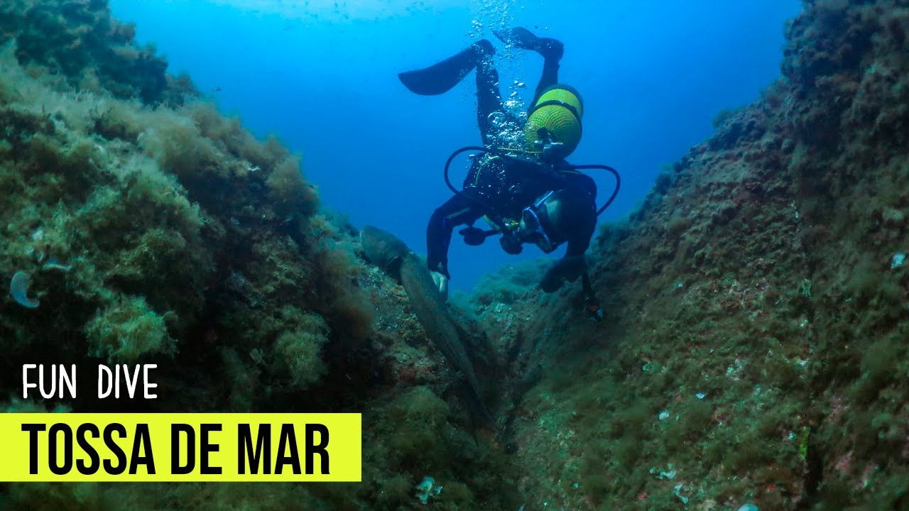 TOSSA DE MAR - FUN DIVE | Discover Scuba Diving Barcelona - Girona