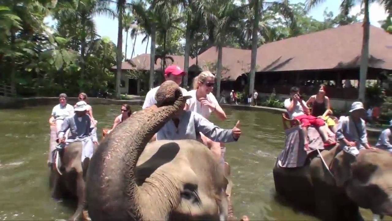 #Elephant Safari Park Lodge Bali