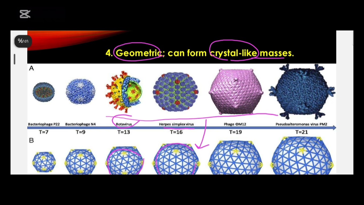 Bioscience Lec 2 part 1 (BUC)
