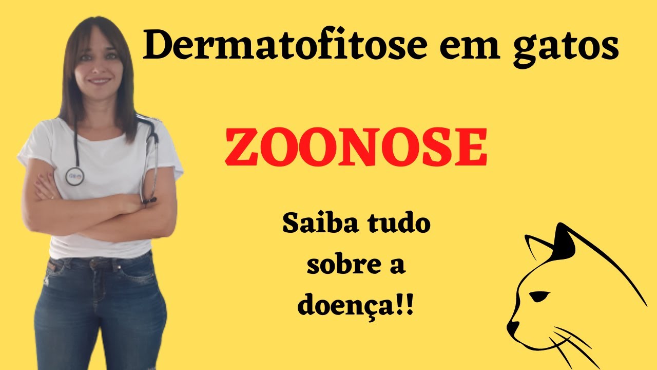 Dermatofitoses! Saiba tudo sobre a doença em gatos! ZOONOSE!