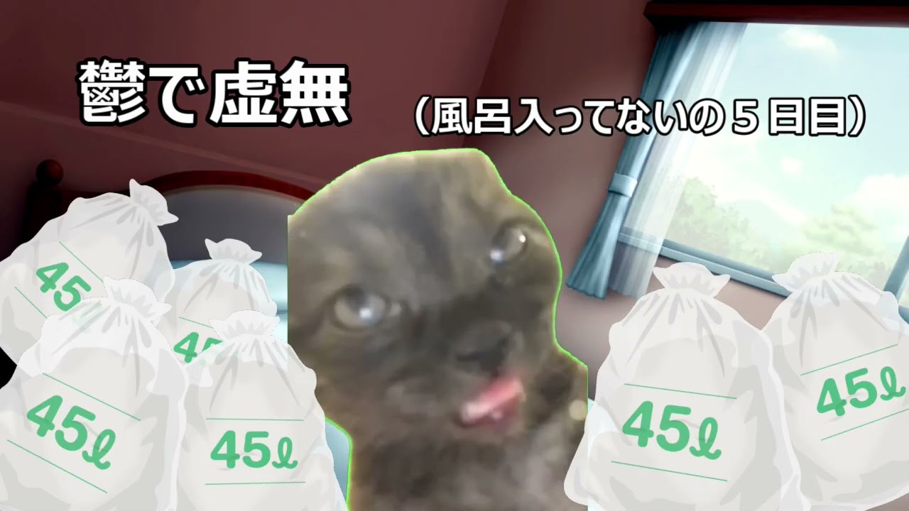 躁鬱の日常　#猫マニ #猫ミーム