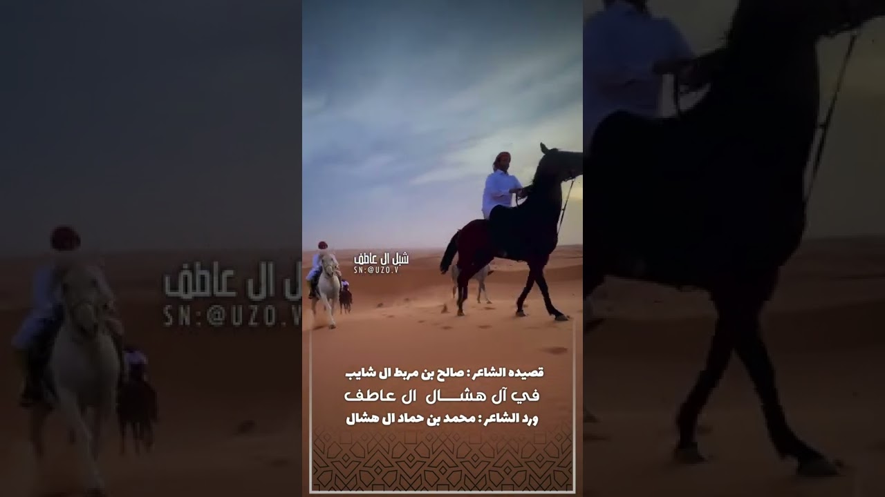 قصيده الشاعر : صالح بن مربط ال سعد في قبيله ال هشال ال عاطف ورد الشاعر : محمد بن حماد ال هشال