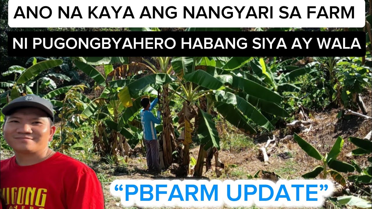 Kumusta na kaya ang farm ni@PugongByahero @CrisnaMahusay 
