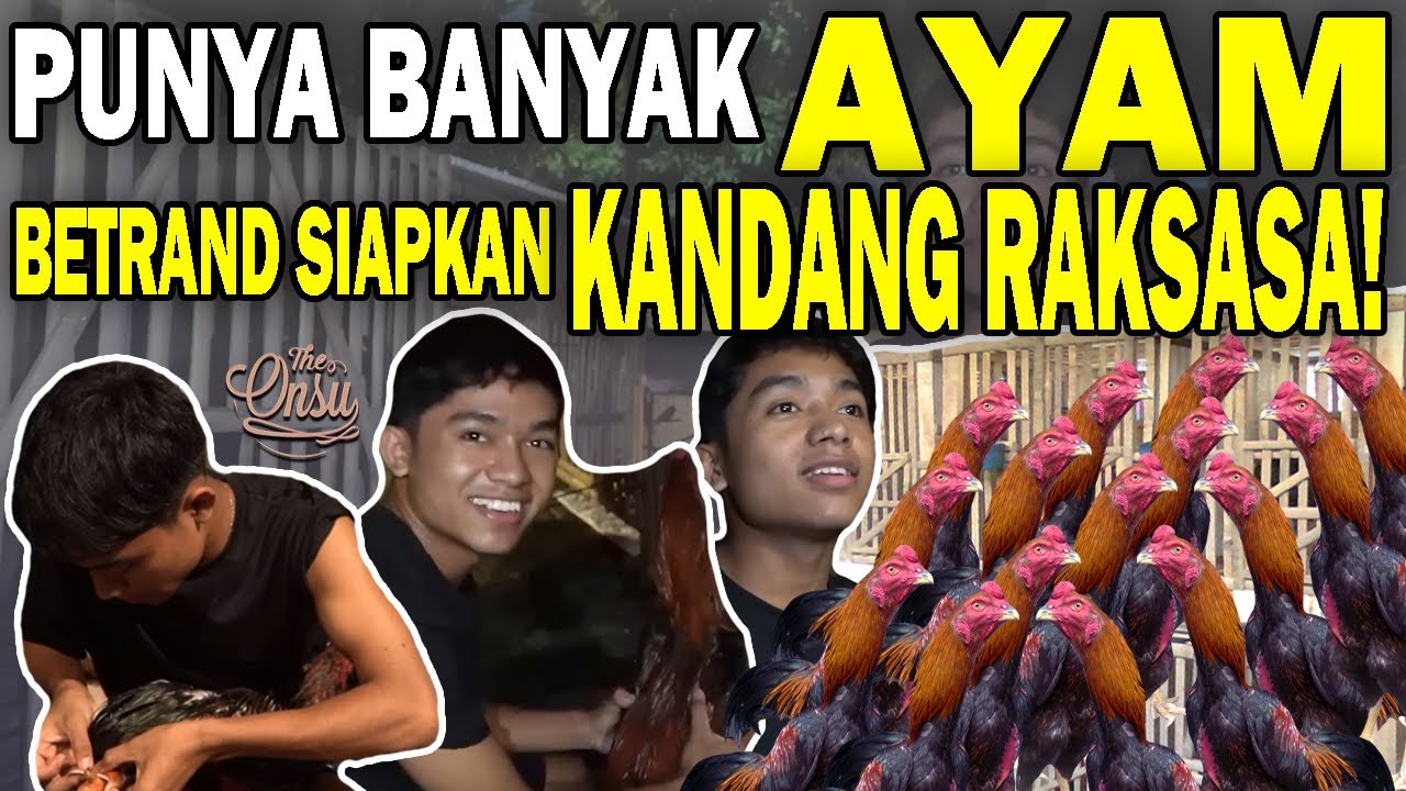 BETRAND REPOT SIAPKAN KANDANG BESAR, SAMPAI OBATIN AYAM YANG SAKIT‼️ | THE ONSU FAMILY