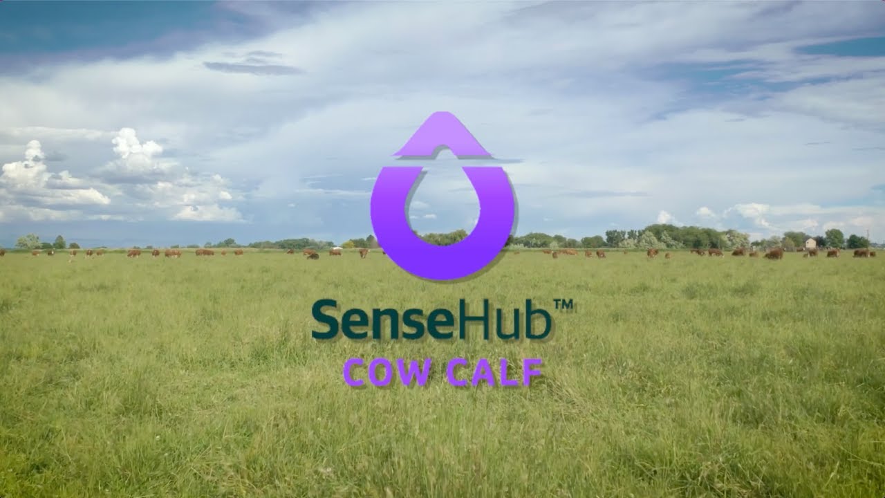 How To Install Your SenseHub Cow Calf Monitoring System