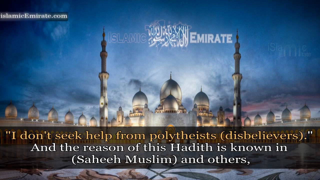 The Untold Fatwas of Shaykh Al-Albani (1/2)