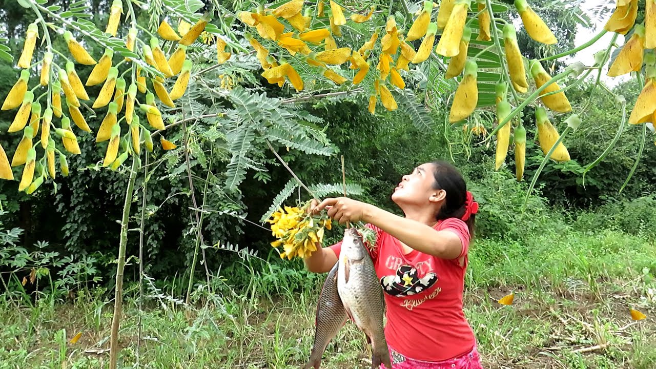 Food for animals : Cooking for animals - Woman fishing with Javanese flowers to cook it for her pet.