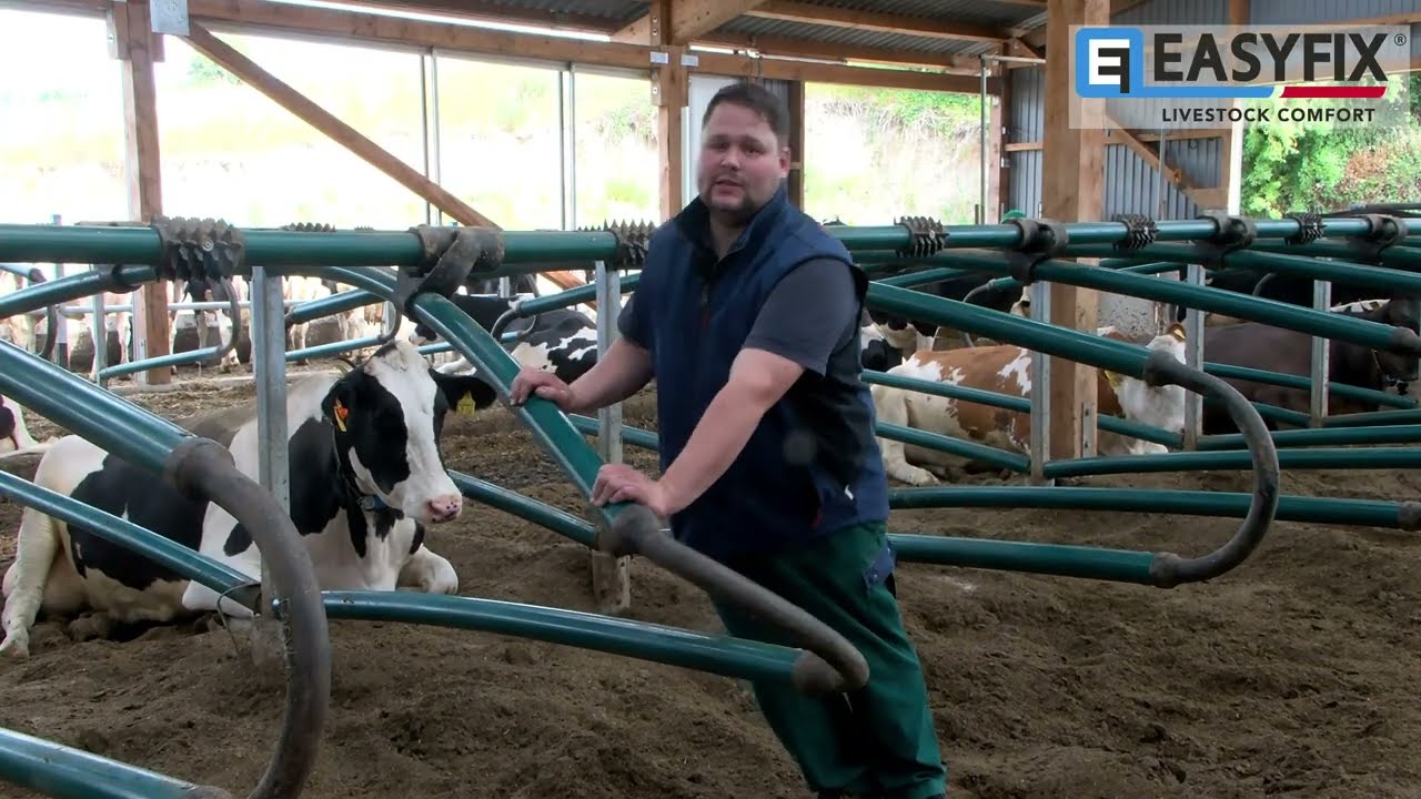 EASYFIX Stalleinrichtungen mit Kuhkomfort | Schönhorst/Schleswig-Holstein