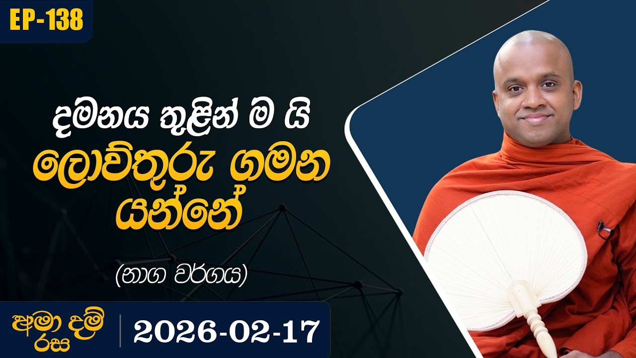 138 . දමනය තුළින්මයි ලොව්තුරු ගමන යන්නේ ( නාග වර්ගය ) | අමා දම් රස | 2026-02-17