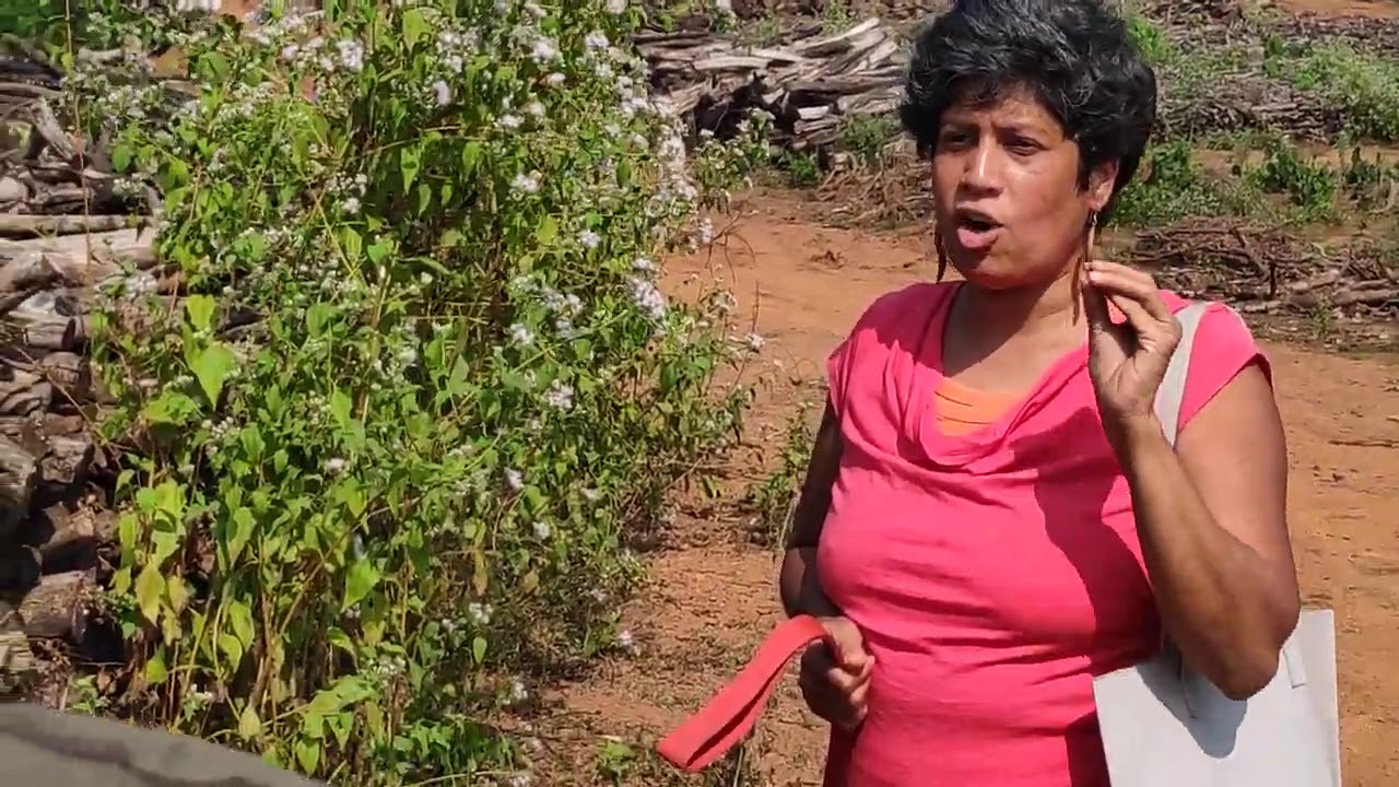 SAVE GOA! SAVE WESTERN GHATS! STOP RECKLESS DESTRUCTION! (2)