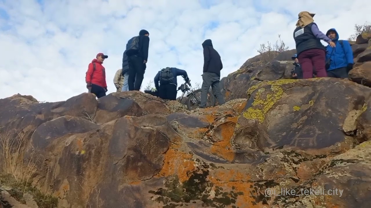 ТЕКЕЛИ ТАЛДЫКОРГАН ЧЕРЕПАХА 251123