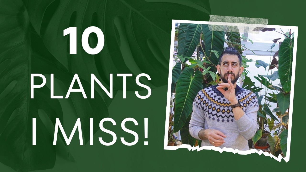 💚 The Top 10 Plants I&rsquo;d Grow Again in a Heartbeat! 🌿