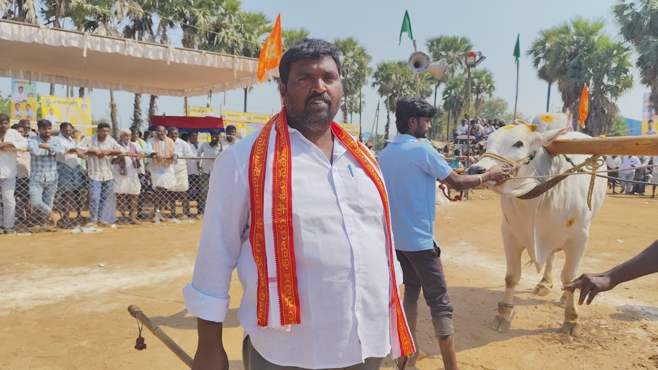 కాల్వ బుగ్గ న్యూ కేటగిరి విభాగంలో 8వ జత SBR Bulls