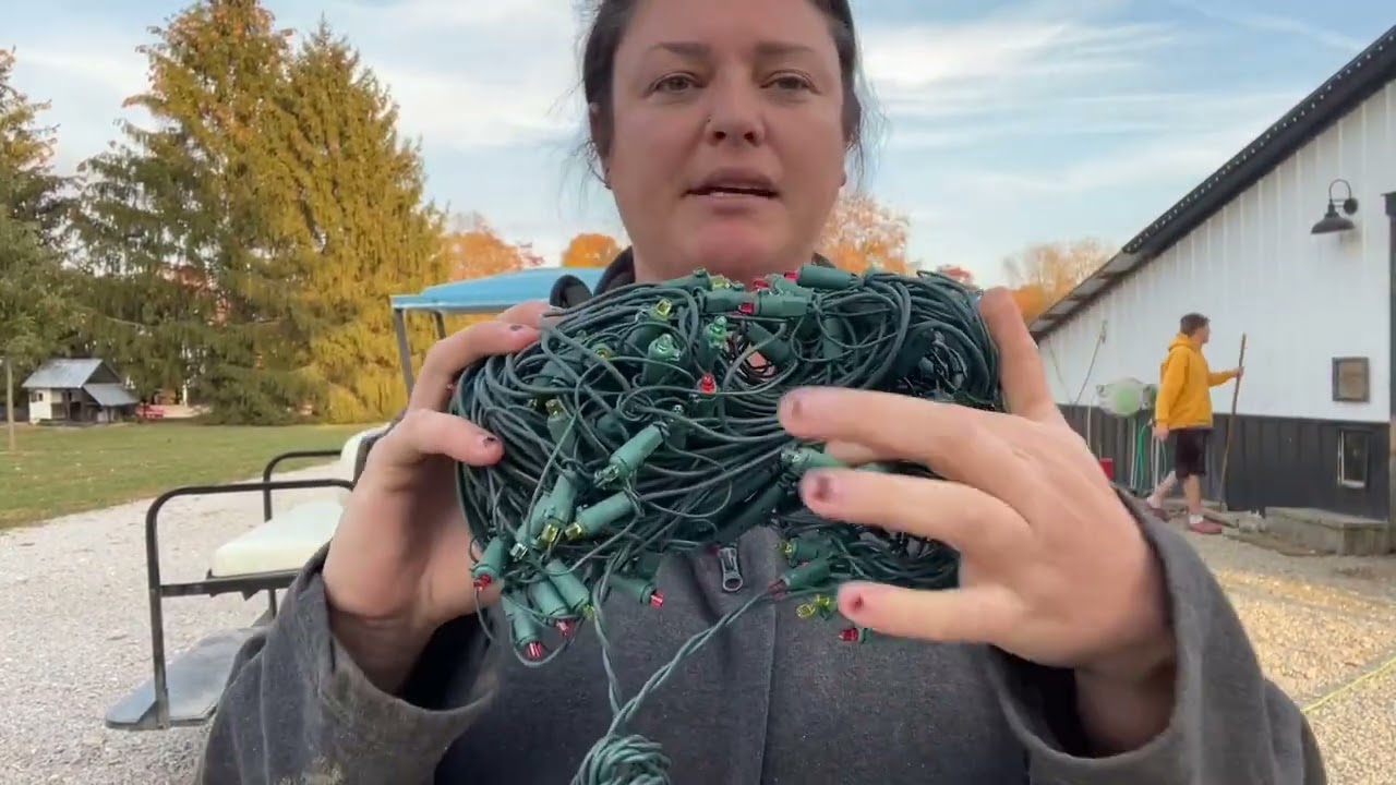 Why Everyone Chooses THESE Net Lights for Christmas 2025 🎁🎄