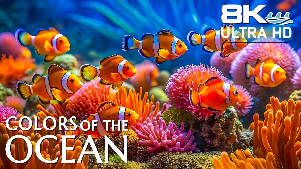 Underwater Planet 8K – Explore Vibrant Reefs and Exotic Sea Life