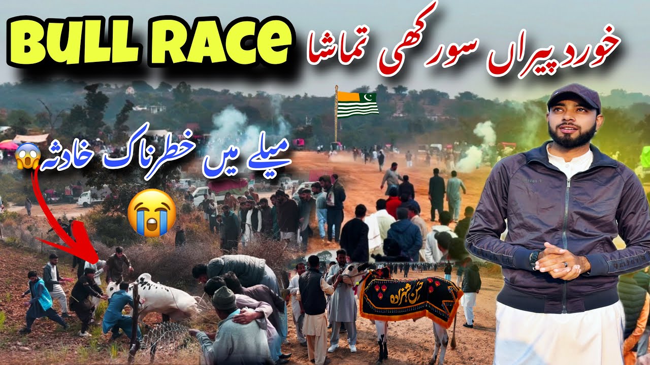 Bull Race Mela in Khurd Peera Surakhi 💁🏻/ میلے میں خطرناک خادثہ😱| Champions Bull in Azad Kashmir 🐂 