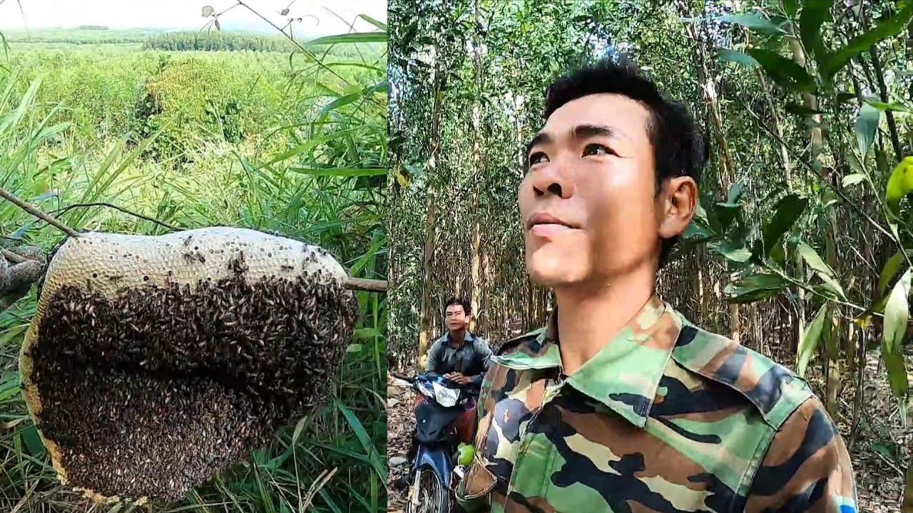 Một ngày săn ong ruồi rất may mắn của 2 anh em