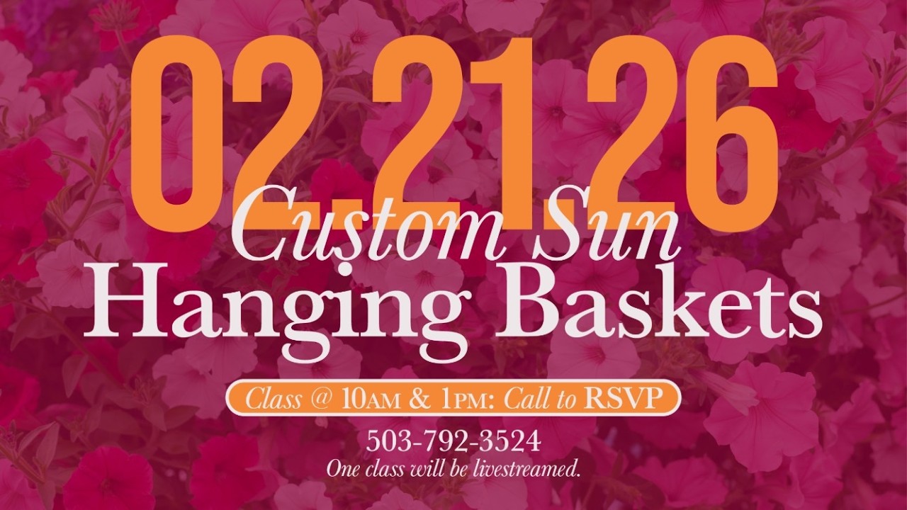 The best plants and flowers for hanging baskets in the sun || Bauman's Farm & Garden