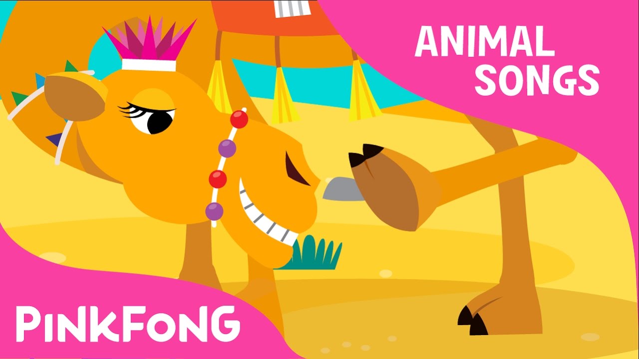 Humpy Lumpy Camel | Camel | Animal Songs | Pinkfong Songs for Children