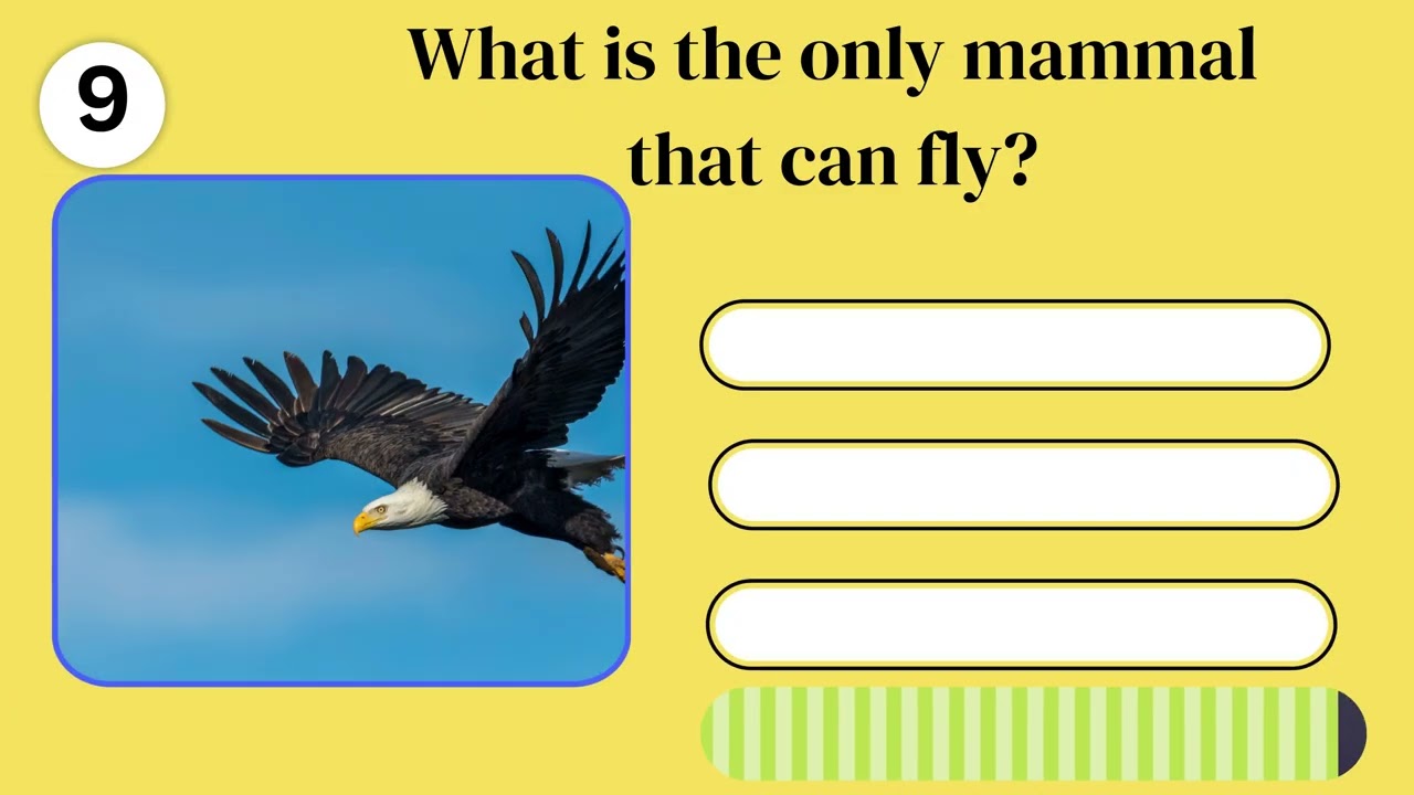 22 General Knowledge Questions: The Ultimate Trivia Quiz!