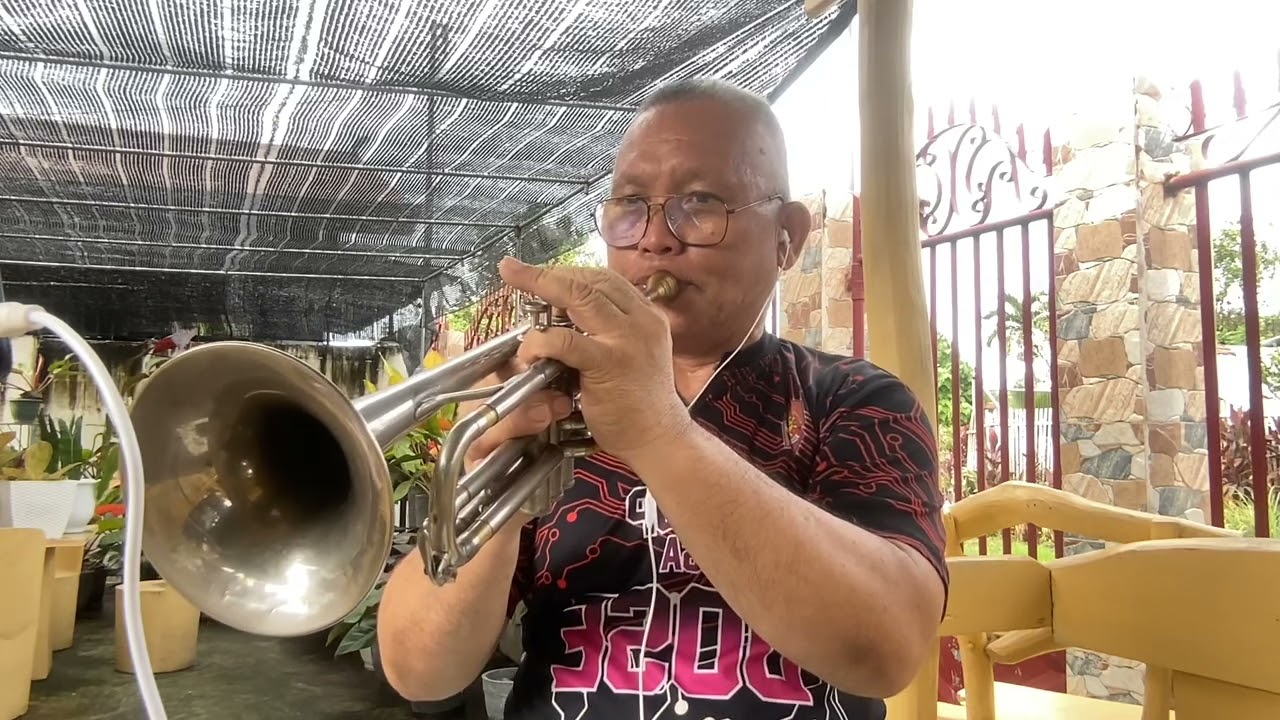 LOVE STORY - Andy Williams (Trumpet) cover