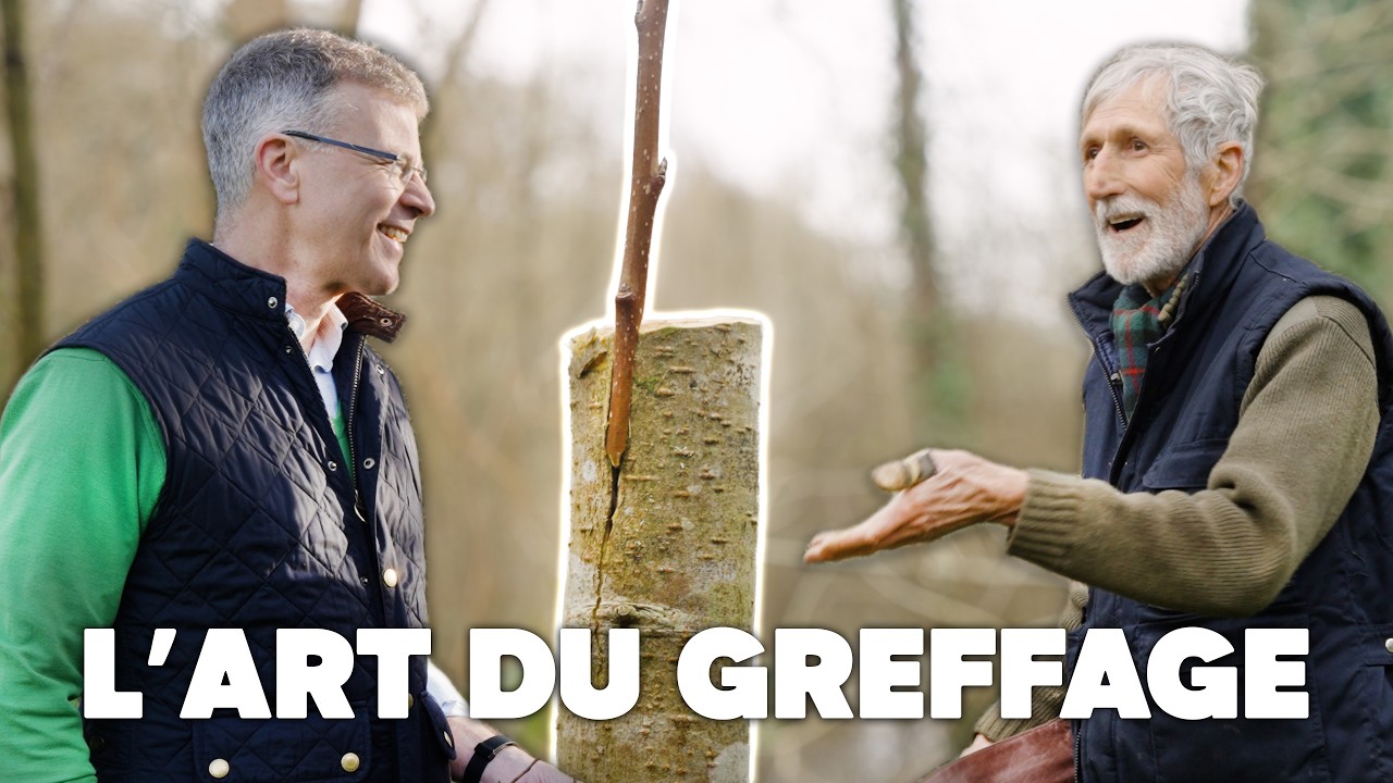 La technique du greffage d'arbres fruitiers avec Jean Blondeau