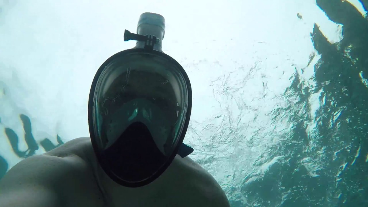Wildhorn Seaview 180 Snorkel Mask(Updated version)