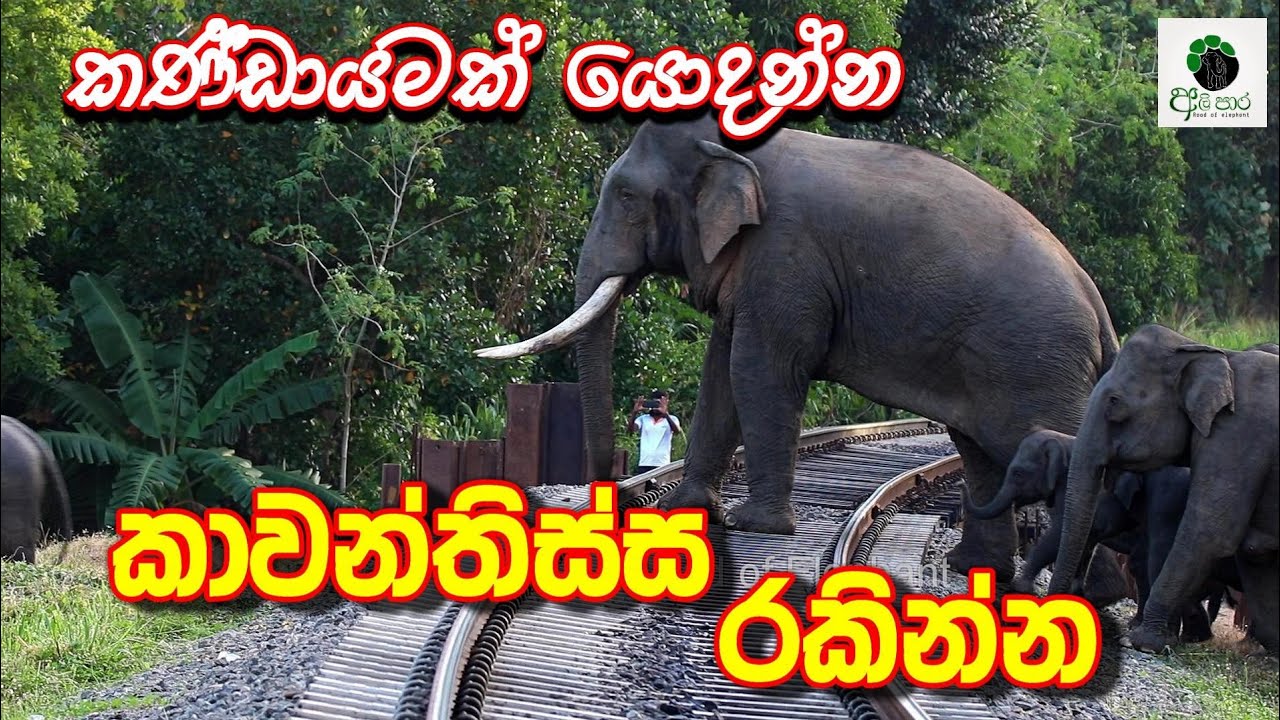 කාවන්තිස්ස රකින්න කණ්ඩායමක් යොදන්න